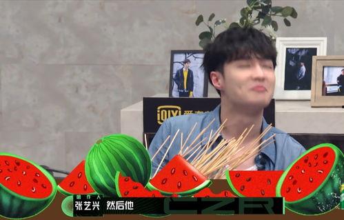 吃瓜测评岩弟,吃瓜群众的味蕾探险之旅