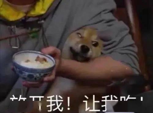 吃瓜挑衅医生,一场网络风波引发的深思