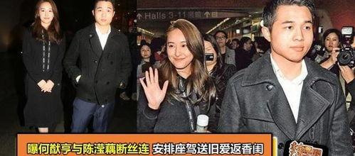 陈滢吃瓜,揭秘娱乐圈幕后故事