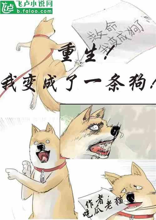 吃瓜大姐小说阅读,揭秘娱乐圈背后的秘密与真相