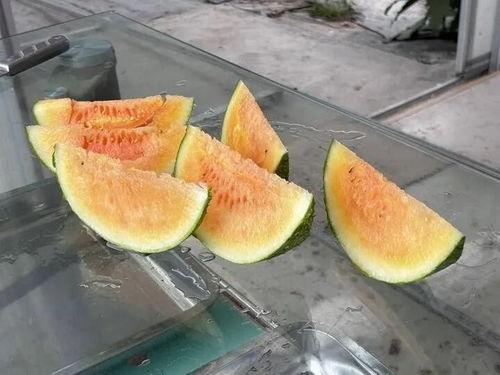 产品吃瓜,揭秘产品吃瓜的潮流与魅力