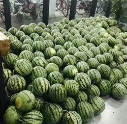 广佛校园吃瓜,吃瓜群众眼中的校园美食盛宴