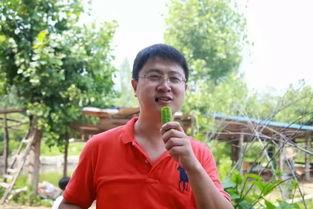 印象济南吃瓜,瓜果飘香，味蕾盛宴掠影