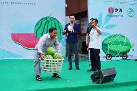 吃瓜沙河幼师,揭秘幼教界的“小确幸”与成长故事