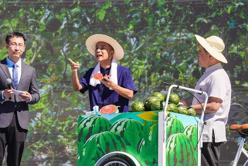 吃瓜观众代表,吃瓜群众视角下的娱乐圈风云录