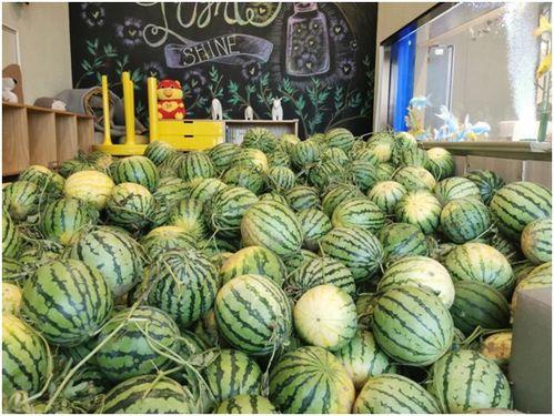 浩涵吃瓜,揭秘娱乐圈那些不为人知的幕后故事