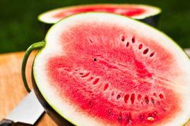 每日必吃瓜,揭秘娱乐圈最新热点事件