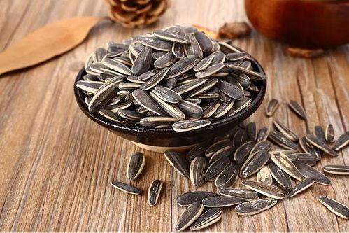 吃瓜子呆瓜,吃瓜子成瓜子的智慧与趣味