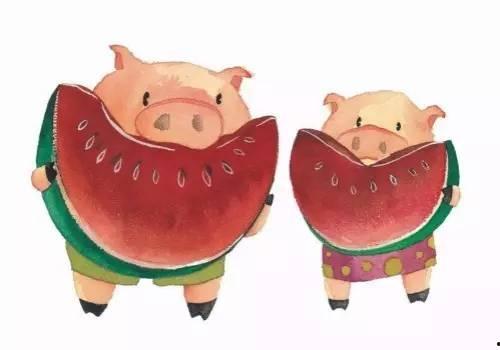 吃瓜子呆瓜,吃瓜子成瓜子的智慧与趣味