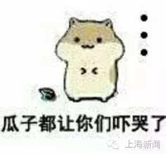 吃瓜子呆瓜,吃瓜子成瓜子的智慧与趣味