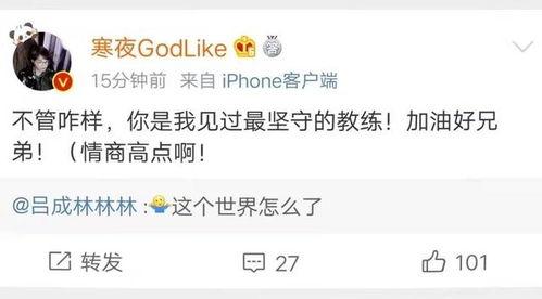 吃瓜直播馋猫,馋猫们的美食盛宴