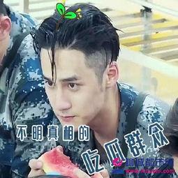 成毅吃瓜群众表情,表情包界的“新宠”